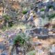 046 Via Ferrata Callejones Gato Paso Gato Orihuela Rocjumper