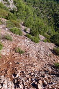Campo a través - Vía Ferrata Góntar - RocJumper