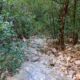 047 Canal Roca Regina Llimiana Rocjumper