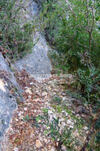 Retorno - Canal de Roca Regina - Llimiana - RocJumper