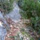 048 Canal Roca Regina Llimiana Rocjumper