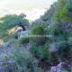 050 Via Ferrata Pas Cabreds Tavernes Valldigna Rocjumper