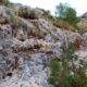 050 Via Ferrata Zarzalar Nerpio Rocjumper