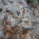 051 Via Ferrata Zarzalar Nerpio Rocjumper