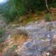 054 Canal Roca Regina Llimiana Rocjumper