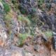 057 Via Ferrata Callejones Gato Paso Gato Orihuela Rocjumper