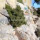 057 Via Ferrata Remedio Chelva Rocjumper