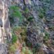 058 Via Ferrata Callejones Gato Paso Gato Orihuela Rocjumper