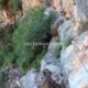 064 Via Ferrata Pas Cabreds Tavernes Valldigna Rocjumper