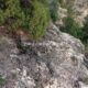 067 Via Ferrata Picarzos Ayna Rocjumper