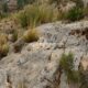 073 Via Ferrata Zarzalar Nerpio Rocjumper