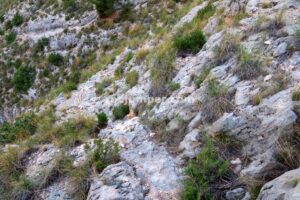 Retorno - Variante K3/K5 - Vía Ferrata Zarzalar - Nerpio - RocJumper