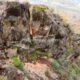 075 Via Ferrata Callejones Gato Paso Gato Orihuela Rocjumper