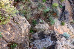 Paso del Gato - Vía Ferrata Callejones del Gato + Paso del Gato - Orihuela - RocJumper