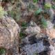 076 Via Ferrata Callejones Gato Paso Gato Orihuela Rocjumper