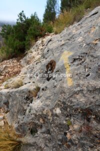 Retorno Flecha Amarilla - Variante K3/K5 - Vía Ferrata Zarzalar - Nerpio - RocJumper