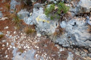 Retorno Flecha Amarilla - Variante K3/K5 - Vía Ferrata Zarzalar - Nerpio - RocJumper