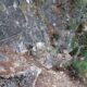 082 Via Ferrata Picarzos Ayna Rocjumper