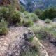 089 Via Ferrata Picarzos Ayna Rocjumper