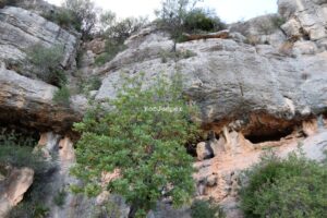 Coves del Cossí - Vía Ferrata Ermita de la Pietat - Ulldecona - RocJumper