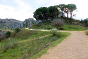 Pista aproximación - Vía Ferrata Presa de los Caballeros - Montejaque - RocJumper