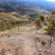 013 Via Ferrata M Cadiar Rocjumper