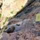 022 Via Ferrata John Hogbin Tramo4 Zafarraya Rocjumper