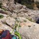 033 Via Cordata Tajo Tello San Jorge Villanueva Trabuco Rocjumper