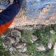 048 Via Ferrata M Cadiar Rocjumper