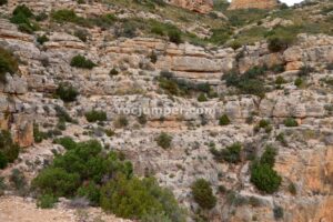 Enlace - Vía Ferrata Sierra de Oliva - Caudete - RocJumper