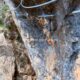 049 Via Ferrata M Cadiar Rocjumper