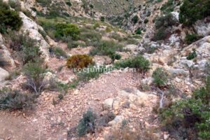 Retorno - Vía Ferrata Sierra de Oliva - Caudete - RocJumper