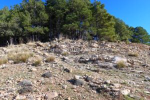 Retorno Bosque - Vía Ferrata La Escaluera - Cazorla - RocJumper
