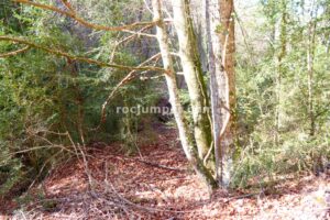 Inicio - Rec de les Espinedes - Malanyeu - RocJumper