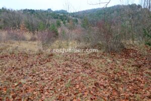 Aproximación - Torrent de la Frau - Sant Corneli - RocJumper