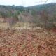 001 Torrent Frau Sant Corneli Rocjumper