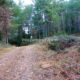 002 Torrent Saltant Lluis Malanyeu Rocjumper