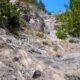 003 Torrent Grau Canillo Rocjumper