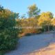 004 Avenc Can Sadurni Begues Rocjumper