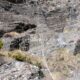 004 Torrent Grau Canillo Rocjumper