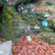 004 Torrent Saltant Lluis Malanyeu Rocjumper