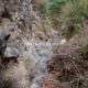 005 Torrent Frau Sant Corneli Rocjumper