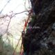 006 Rec Espinedes Malanyeu Rocjumper