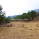 006 Torrent Jou Afluente Izquierdo Sant Corneli Rocjumper