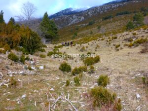 Campo a través - Barranc de l'Olla de Mel - Saldes - RocJumper