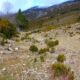 007 Barranc Olla Mel Saldes Rocjumper