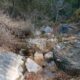 007 Torrent Jou Afluente Izquierdo Sant Corneli Rocjumper