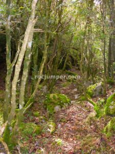 Inicio Barranco - Barranc de l'Olla de Mel - Saldes - RocJumper