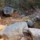 008 Torrent Jou Afluente Izquierdo Sant Corneli Rocjumper