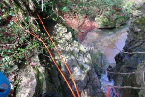 008 Torrent Pla Traver Vidra Rocjumper